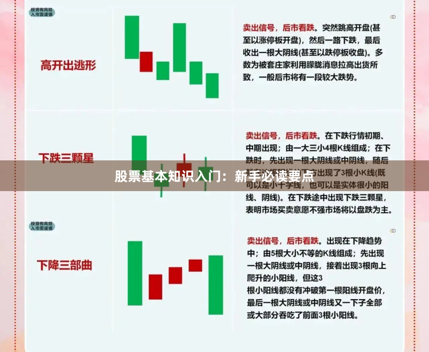 股票基本知识入门：新手必读要点